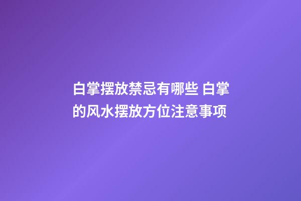 白掌摆放禁忌有哪些 白掌的风水摆放方位注意事项